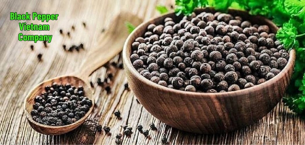 Black Pepper Vietnam Company 1