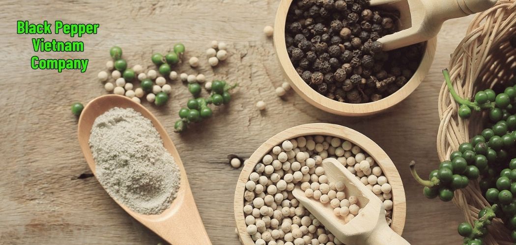 Black Pepper Vietnam Company