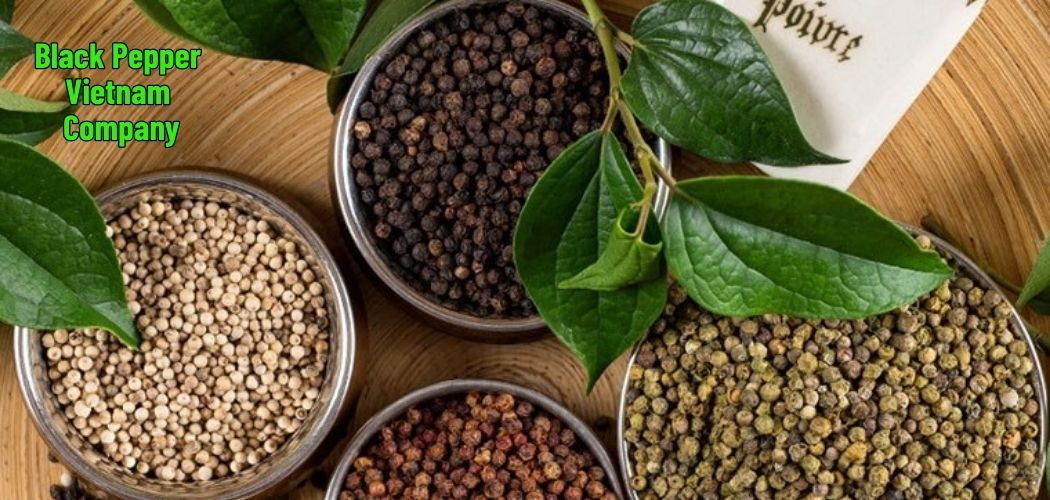Black Pepper Vietnam Company