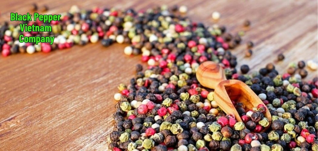 Black Pepper Vietnam Company
