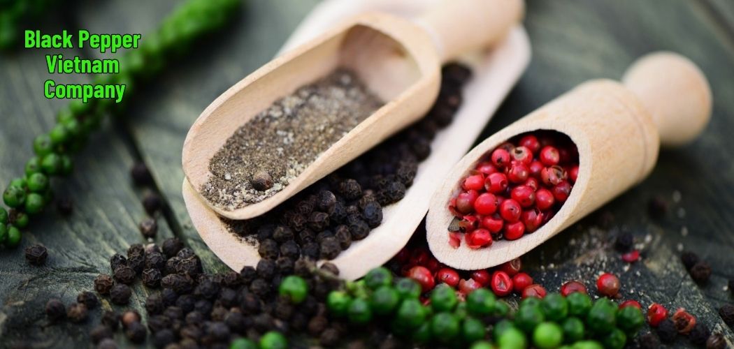 Black Pepper Vietnam Company