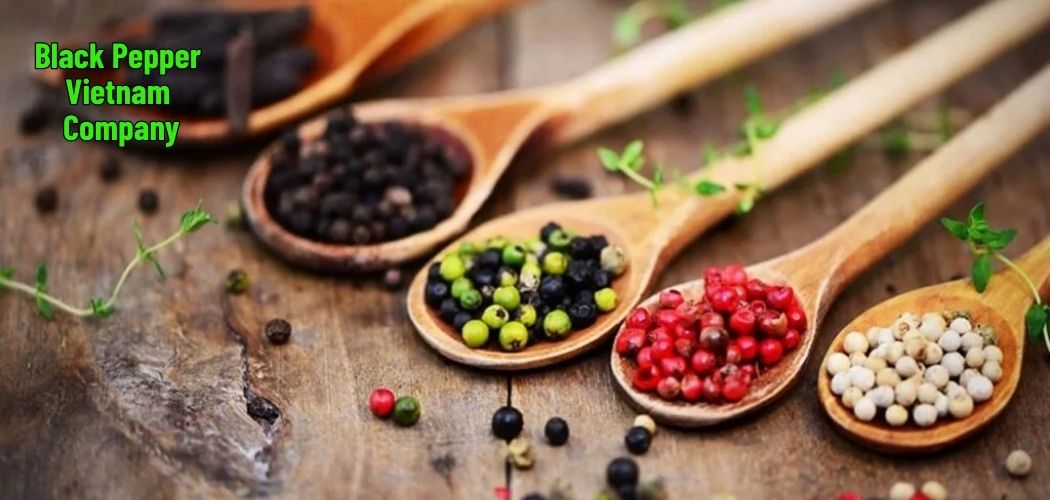 Black Pepper Vietnam Company 4