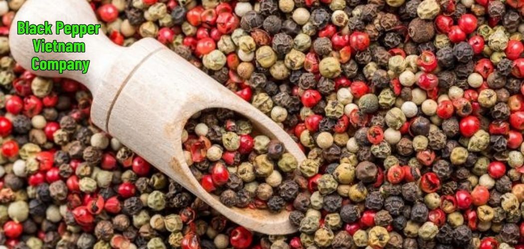 Black Pepper Vietnam Company 6