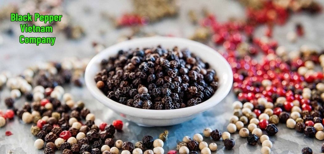 Black Pepper Vietnam Company 7