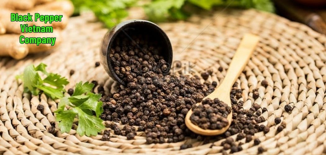 Black Pepper Vietnam Company 8