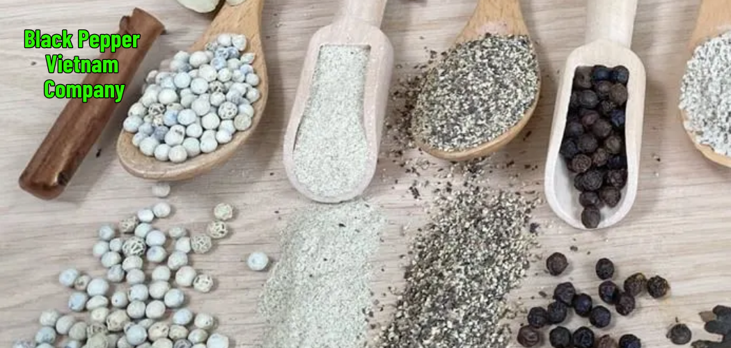 Black Pepper Vietnam Company